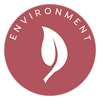 environment